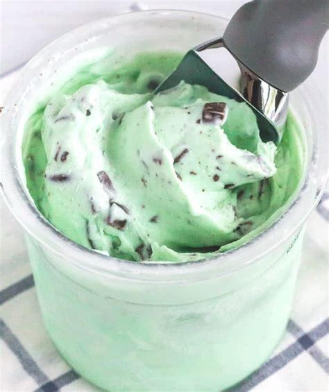 Delicious Ninja Creami Mint Chocolate Chip Ice Cream Margin Making Mom®