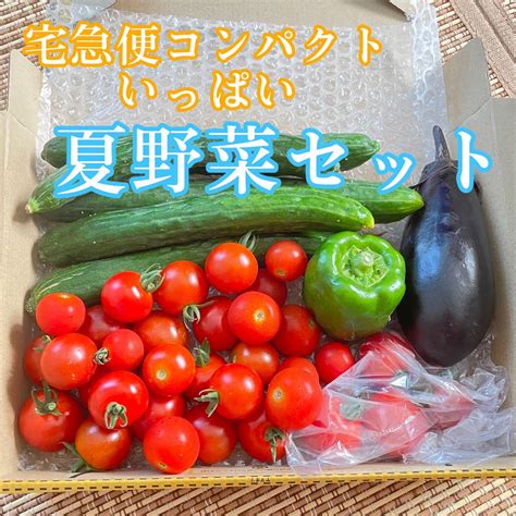 【新品未使用】お野菜詰め合わせ 千葉県産 トマト きゅうり なす ピーマン メルカリ