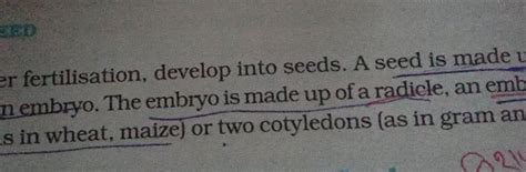 fertilisation, develop into seeds. A seed is made 1 n embryo. The embryo