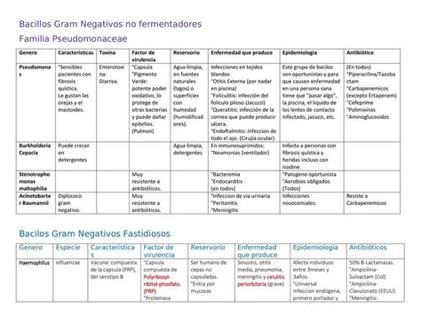 Tablas De Microbiolog A Grupos Bacterianos Antibi Ticos Udocz