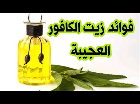 ما هي فوائد زيت الكافور تعرف علي اضرار زيت الكافور YouTube