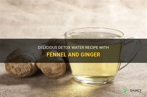 Delicious Detox Water Recipe With Fennel And Ginger ShunCy