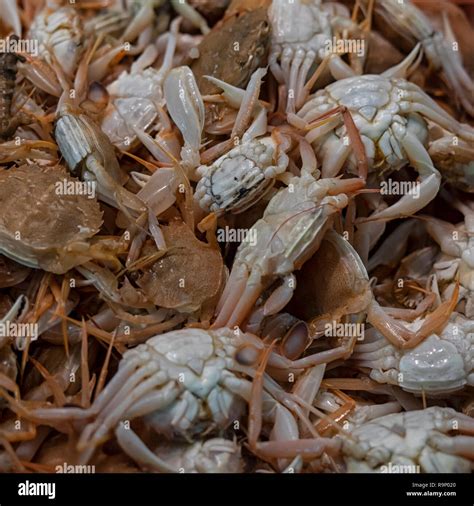 Small Crabs For Sale At Market In Spain Stock Photo Alamy