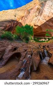 Beautiful Cascade Coyote Gulch Grand Staircase Stock Photo