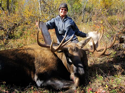 Alaska Moose Hunting Vast Alaska Guided Moose Hunts