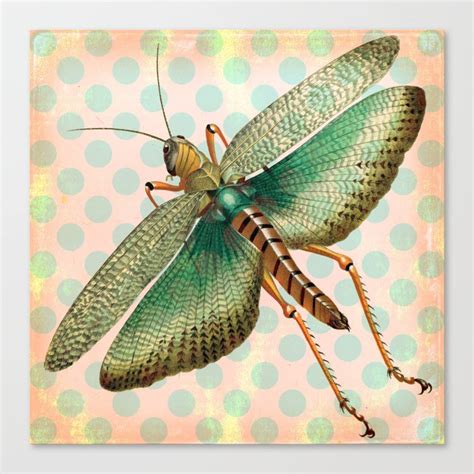 Polka Dot Grasshopper Canvas Print By Connie Goldman Society6