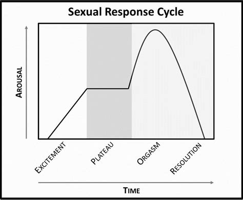 A Biopsychosocial Approach To Womens Sexual Function And Dysfunction At Midlife A Narrative