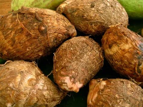 Fresh Yam Root At Best Price In Bongoan By Das International Id