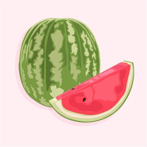 Premium Vector Whole Watermelon And Its Slice Summer Sweet Fruits