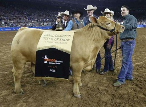 Pin By Mary Bowman On Coras Stuff In 2024 Show Cows Rodeos In Texas