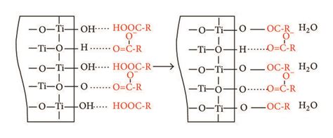 Schematic Diagram Of Tio Modified By Sodium Stearate And Sodium Oleate