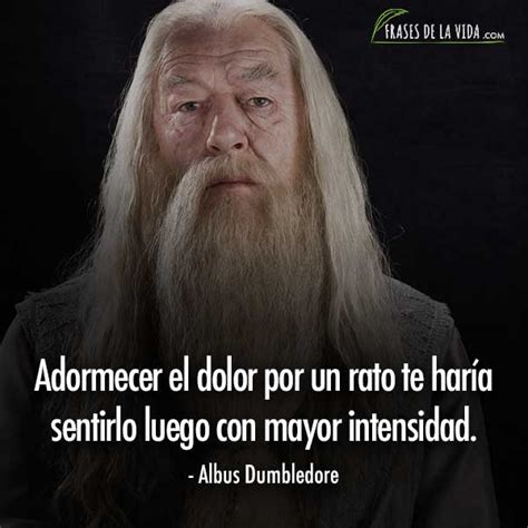 Frases De Harry Potter Las Mejores Frases De La Saga Con Im Genes