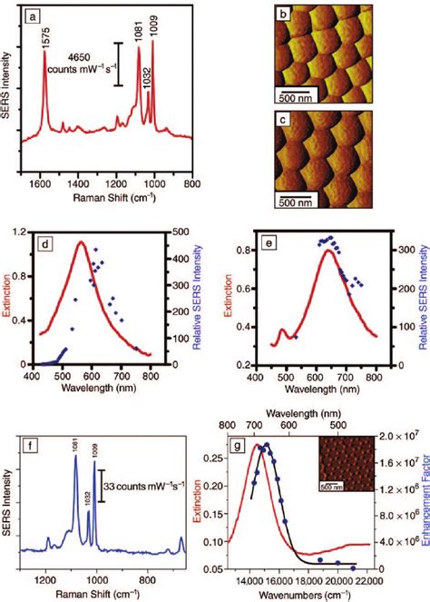 Localized Surface Plasmon Resonance Lspr Surface Enhanced Raman