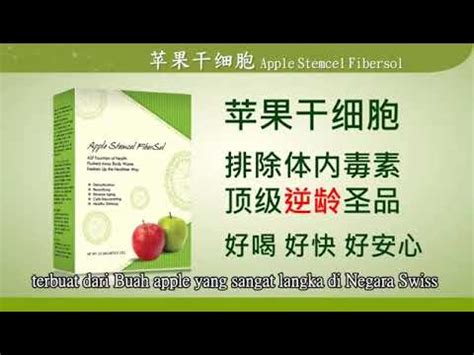 Jual Appel Stem Cell Naturini Magic Life Wa 0817 0744 192 YouTube