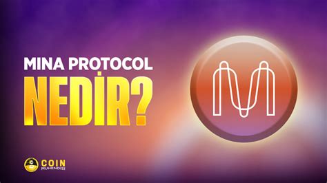 Mina Protocol MINA Nedir Ne İşe Yarar Coin Mühendisi