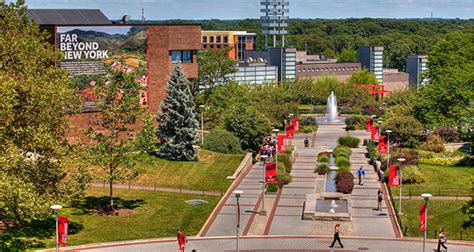 Top 10 Most Popular Majors At Stony Brook University Oneclass Blog