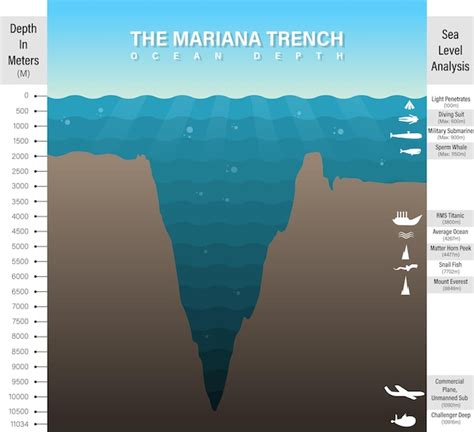 Estilo de dibujos animados vectoriales Mariana Trench Ilustración de