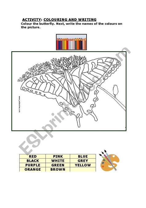 English Worksheets Color Butterfly