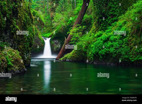 Punch Bowl Falls On Eagle Creek Columbia River Gorge National Scenic