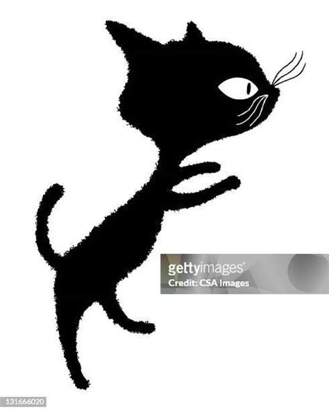 181 Black Cat Bad Luck Stock Photos, High-Res Pictures, and Images ...