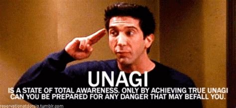 The One With Unagi - Friends Central - TV Show, Episodes, Characters