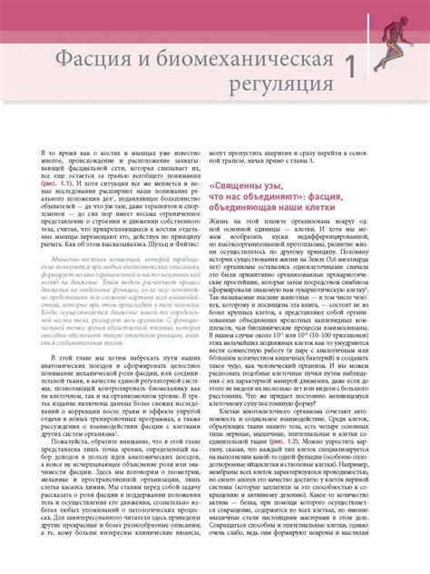 Книга: Анатомические поезда - Томас Майерс. Купить книгу, читать ...