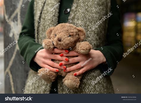 Woman Hands Holding Teddy Bear Charity Stock Photo 1893620896