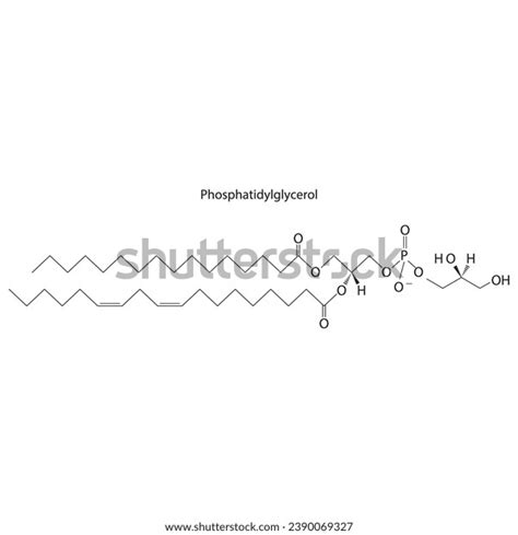 Diagram Showing Schematic Molecular Structure Phosphatidylglycerol