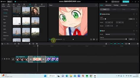 Cara Merubah Rasio Di Capcut Pc Youtube