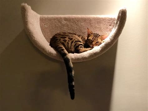 Wall Mounted Cat Bed Cat Bed Cat Shelf Pet Bed Kitten Bed Cat Bed For