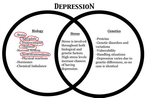 How Does Depression Affect The Brain Home