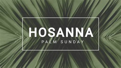 Message: “Hosanna – Palm Sunday” from Daniel Im | Beulah Alliance Church