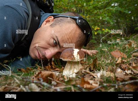 Mushroom Forager Trying To Identify Wild Mushrooms In The Forest With