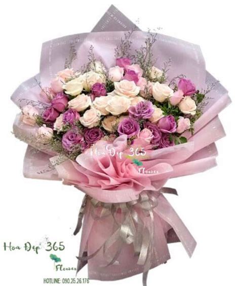Hoa Sao Tím Những Bông Hoa Mỏng Manh đầy Sức Hút Flosa