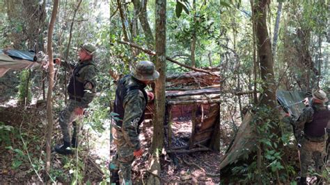 Desmantelaron Dos Campamentos Y Trampas De Cazadores Furtivos