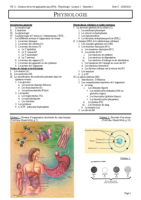 UE 11 Poly CM Physiologie 2020 2021 UE 11 Sciences De La Vie