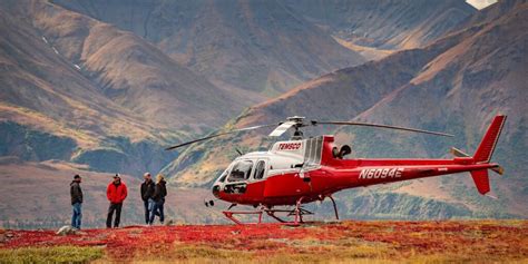 Helicopter Tour with Glacier Landing — Denali Park Adventures