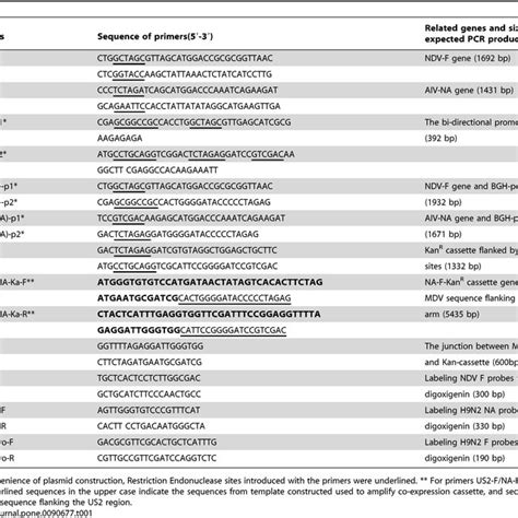 List Of Primers Used For Construction Of Different Recombinant Plasmids