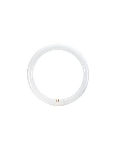 Osram Tubo Fluorescente T Circular W G Q