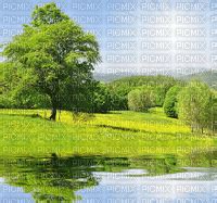 Landscape Background Spring Summer The Water Paysage Fond Printemps