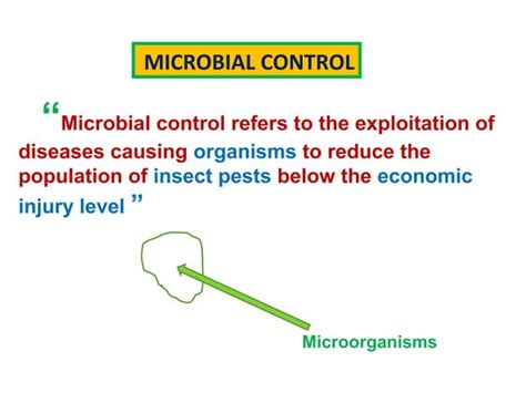 Entomopathogenic Fungi