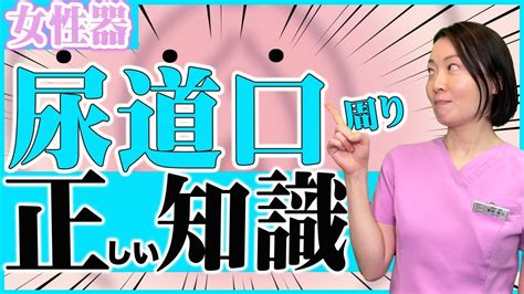 【女性器解剖】女性のおしっこはどこから出る？尿道口周辺を解説！ Youtube