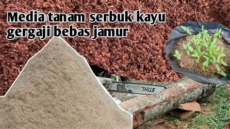 Cara Membuat Media Tanam Dari Serbuk Kayu Cara Membuat Media Tanam