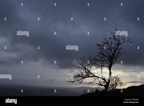 Rainy season of Gujarat Stock Photo - Alamy