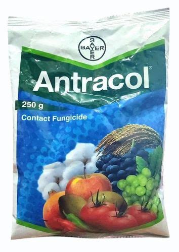 Bayer Antracol Contact Fungicide At Rs 280 Gram Nativo Fungicide In