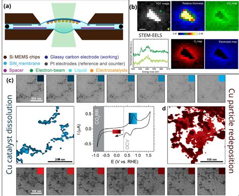 Considerations And Guidelines For In Situ Bulk Liquid Electrochemical Tem Hummingbird Scientific