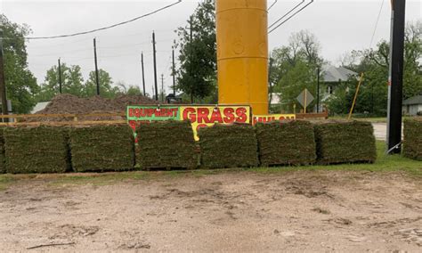 St Augustine Grass Sod Sales, Install, Delivery - Order Now, Pickup