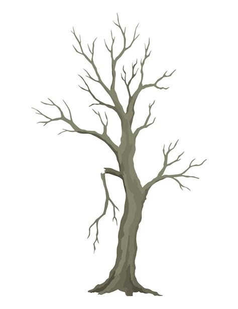 Premium Vector Old Dead Tree Rough Spooky Bark Dry Naked Branch