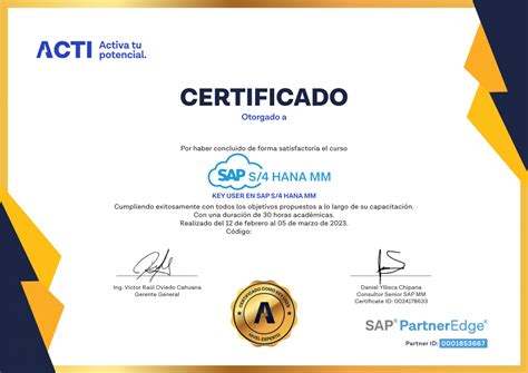 Curso Sap Mm S Hana Acti Per