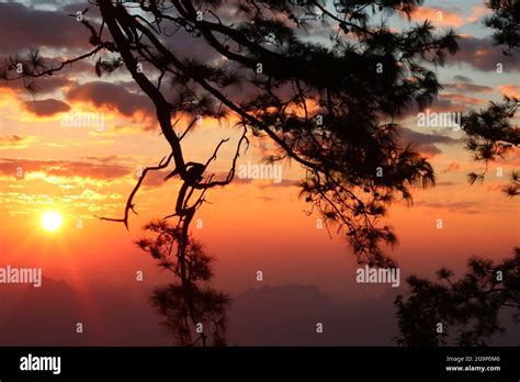 Sundown With Mountain And Tree Stock Photo Alamy